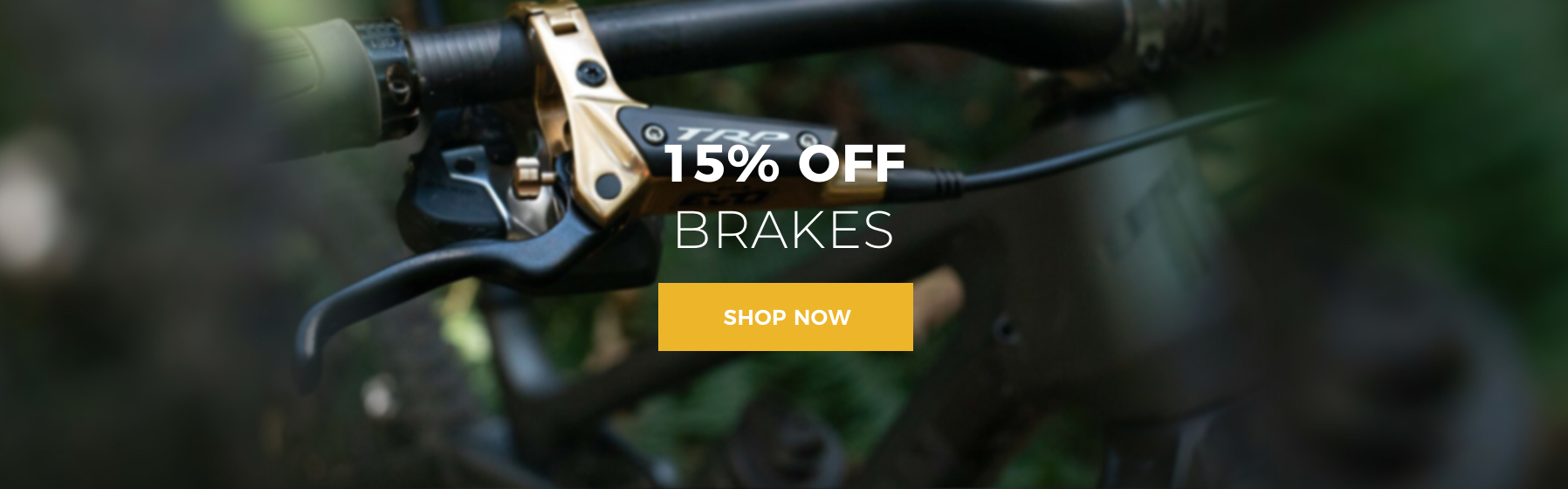 Brakes Promo