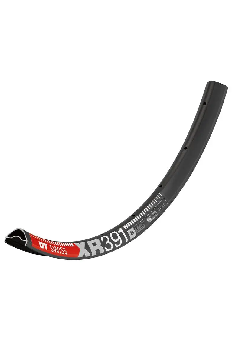 DT Swiss - XR 391 29