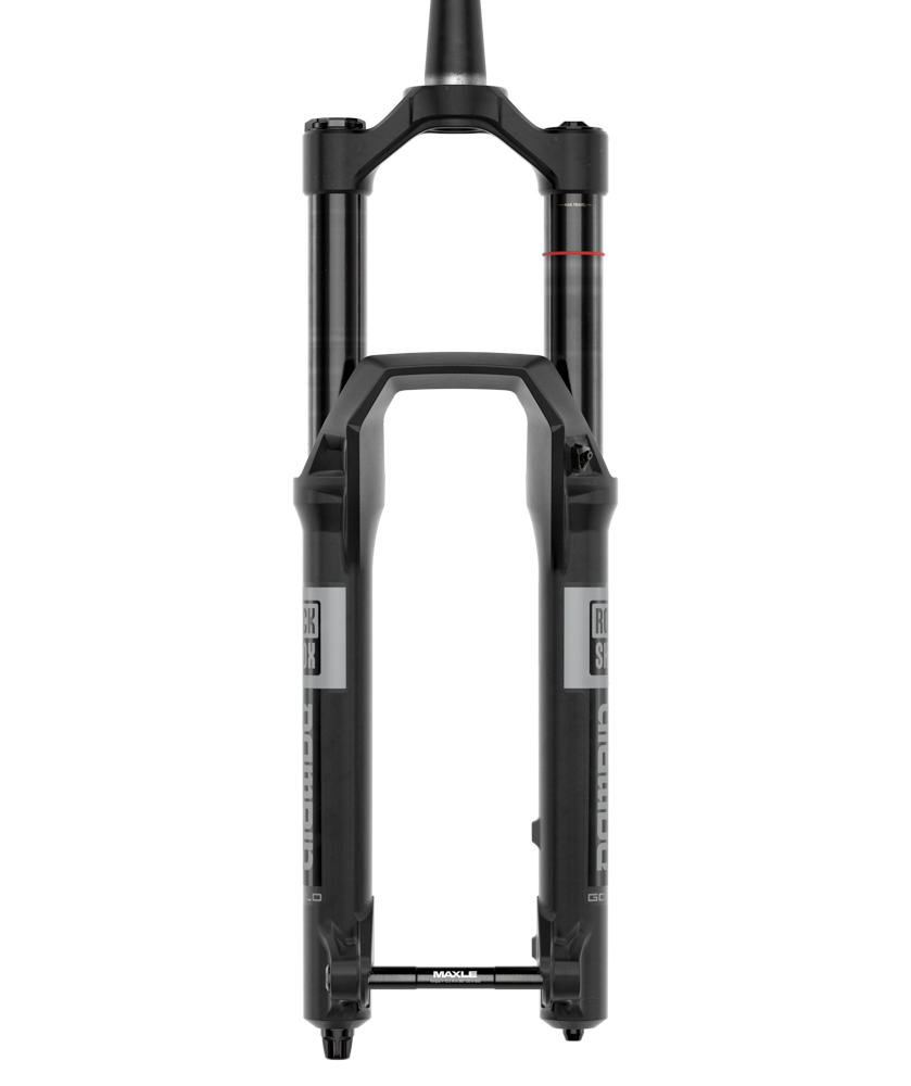 RockShox Domain Gold RC image 7