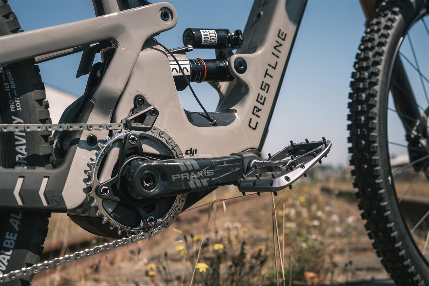 Praxis - MTB E-Ring Steel Silver PVD 104 BCD 1x NW image 4