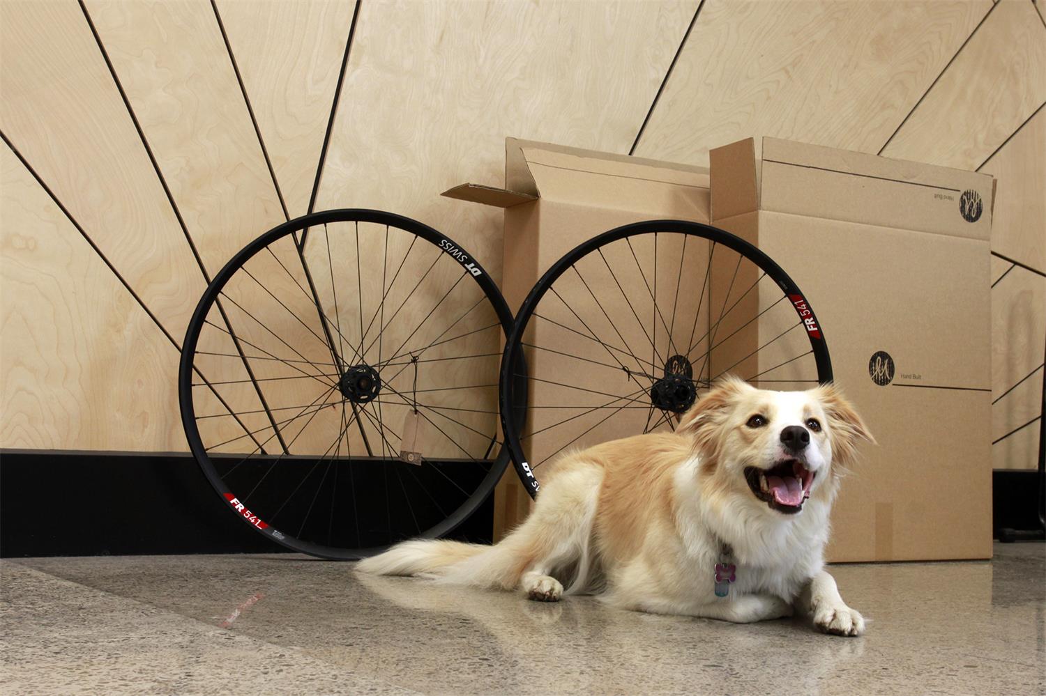 Marleen Hand Built Wheels - DT Swiss FR541/350 29