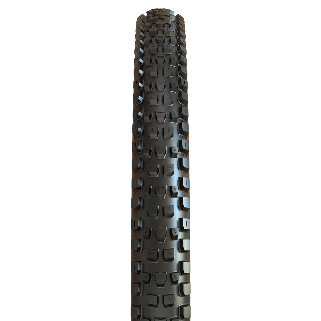 Maxxis - Dissector G2 29