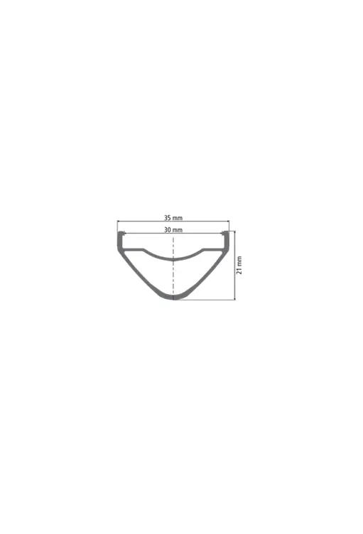 DT Swiss - XM 481 29