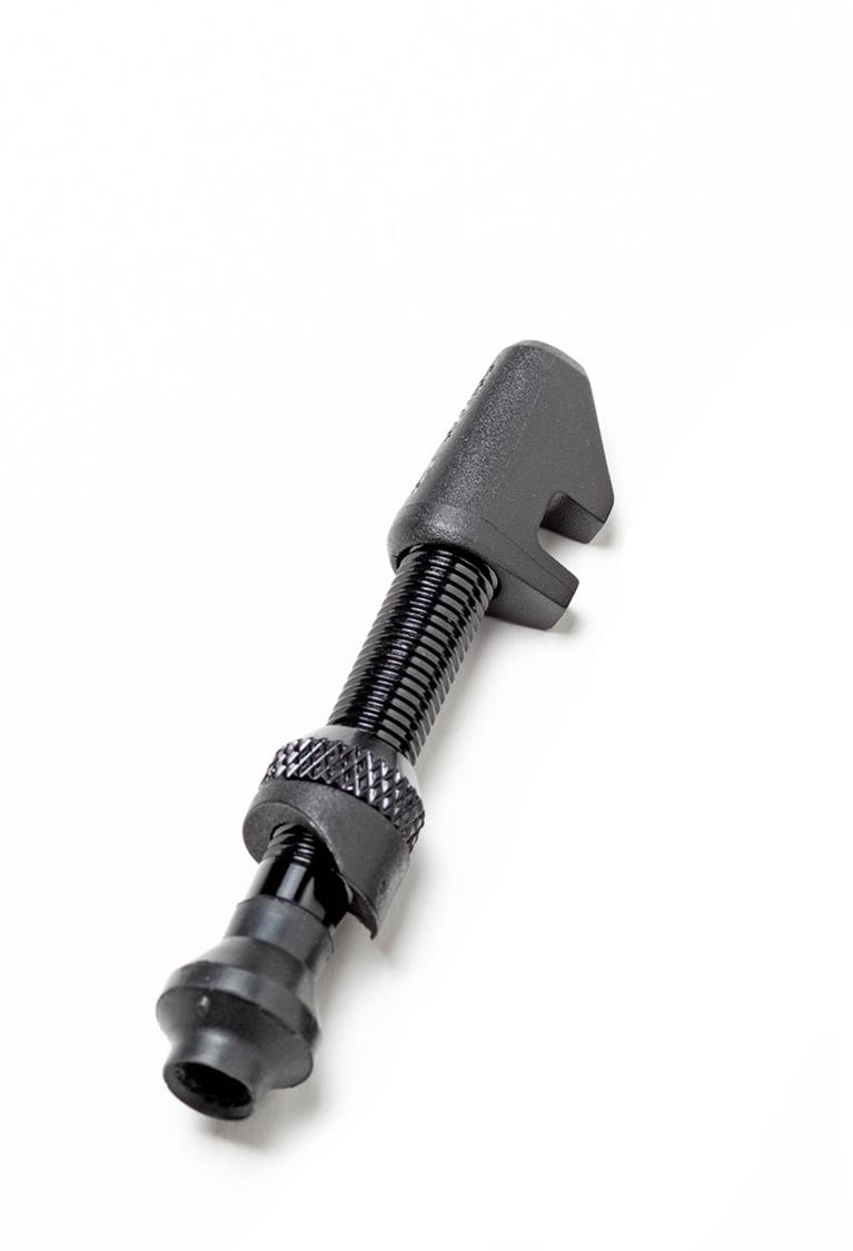 DT Swiss - Tubeless Valves image 2