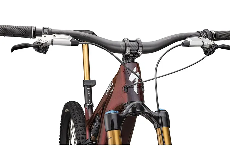 LEVO SW CARBON G4 image 23