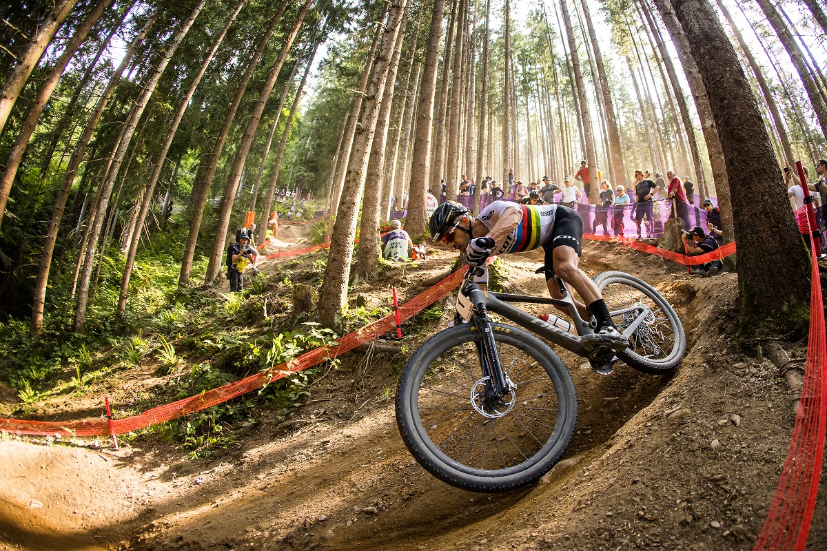 Maxxis - 32